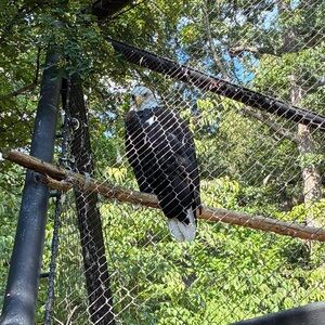 Meet your Posher, Edward